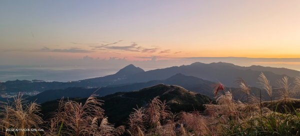 五分山夜景/晨曦/日出/山嵐/芒花2335005