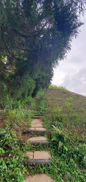 2024-05-18梨子腳山步道2507952