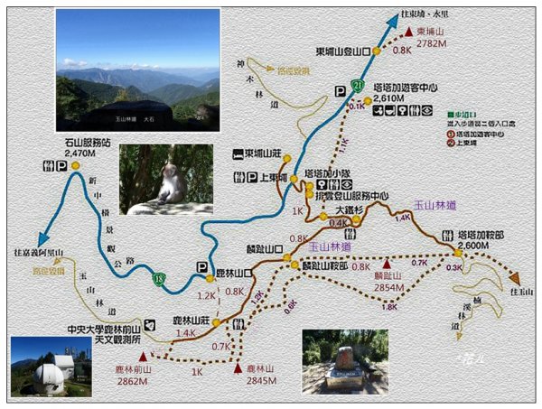 鹿林山步道(南投/信義)2360071