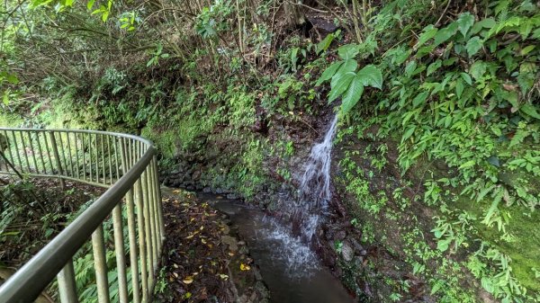 112.04.29走遍陽明山尋寶任務之坪頂古圳步道2137391