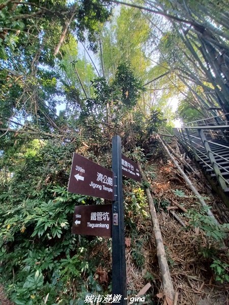 【雲林林內】台灣百大必訪步道。 龍過脈森林步道1952046