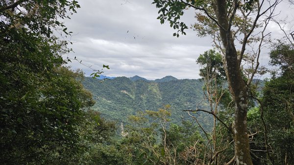 暗影山三進三出2366582