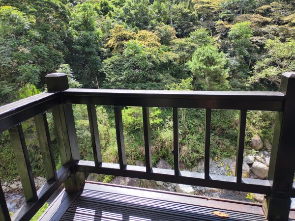 [百山百鳥尋旅-07/15] 2025_0831 八仙山國家森林遊樂區步道群_天籟步道2875909