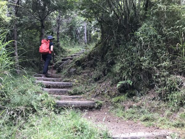 東埔山步道169719