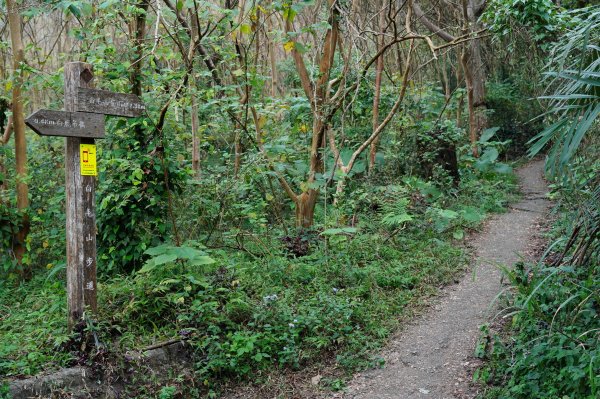臺中 和平 白毛山、次郎山2670907