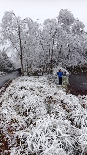 我的2025 第三場雪 #翠峰湖步道 #望洋山 #金翼白眉  2/92708863