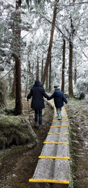 太平山第一場雪【台灣山毛櫸國家步道】1223524