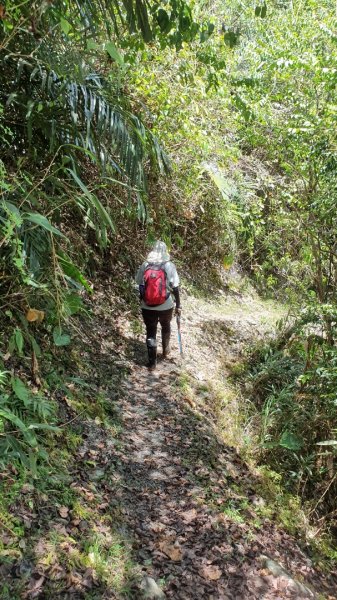 桃源谷石觀音線－上灣坑頭山－大溪線下O型1055328