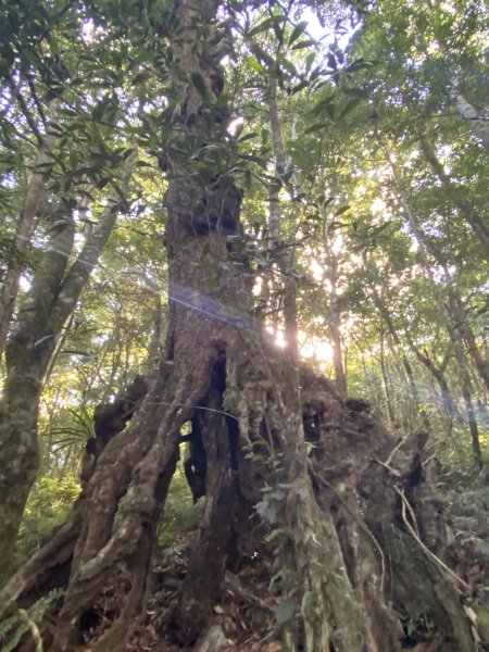 2025.6.28 煤源上李崠山經八五山 O型2824304