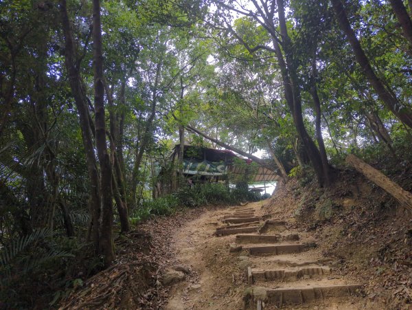 2025.08.30－微笑山線：【大棟山系】2874488