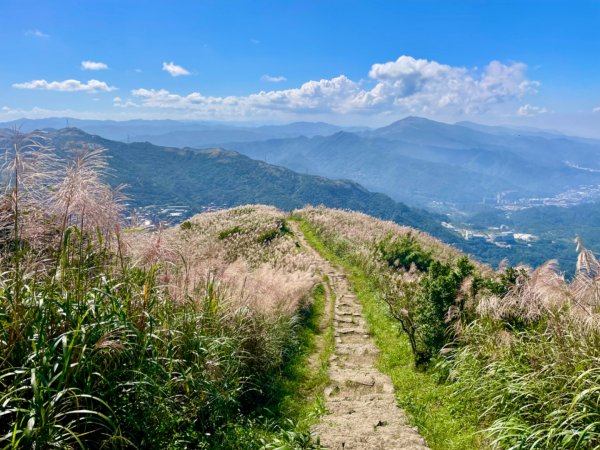 基隆山賞芒趣-山尖步道-百年三層橋-摸乳巷2335477