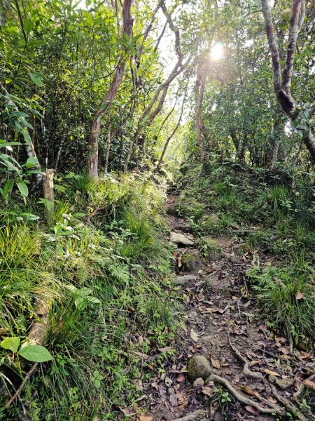 八里灣山-小百岳#91-花蓮縣豐濱鄉3019218