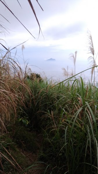 鵲子山步道518531