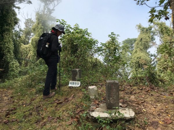 烏山步道走刣牛湖山468615