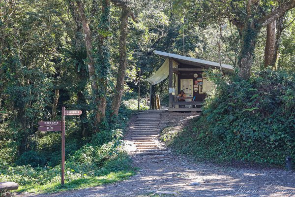 [百岳]雲海之鄉-北大武山2398629