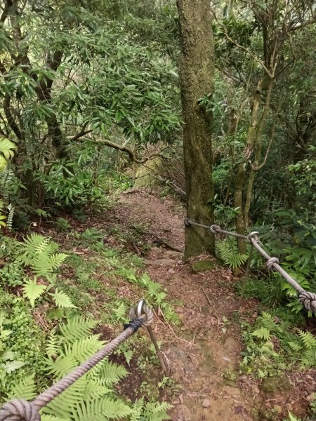 汐止區磐石嶺福興宮+581峰+雙十塔+耳空龜山+四分尾山+大尖山2805718