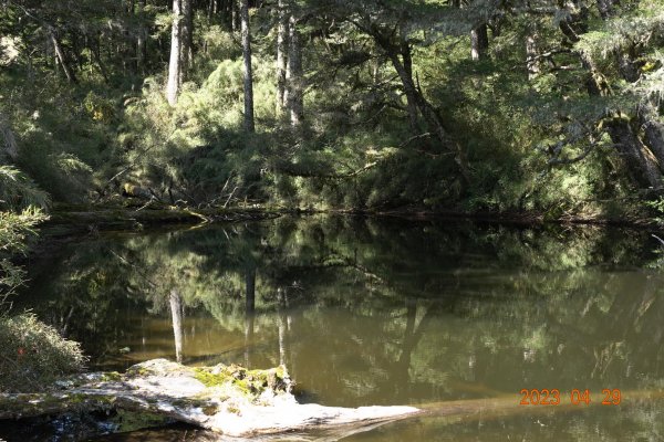 南投 仁愛 武法奈尾山2133771