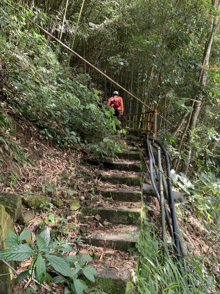 20240720嘉義交力坪山-四天王山縱走2557253