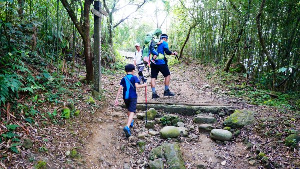 關子嶺大凍山親子登山趣(2nd)744146