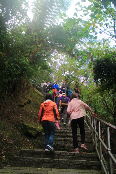 汐止大尖山健行活動 20191109735083