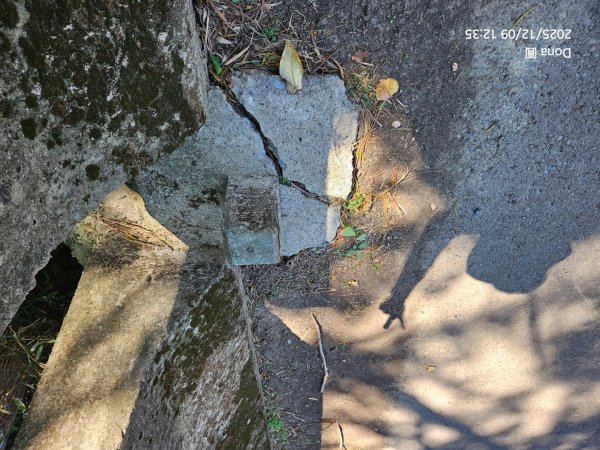 20251209新竹寶二水庫環湖O走+峨嵋湖2969283