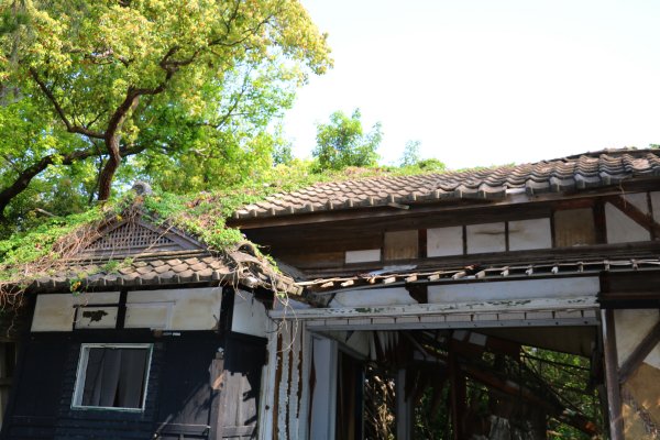 閩南式燕翹脊屋頂的日本神社。通霄神社852493