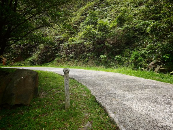 [淡蘭古道] 2026_0531 北路第一段_燦光寮古道(上)-草山戰備道3070669