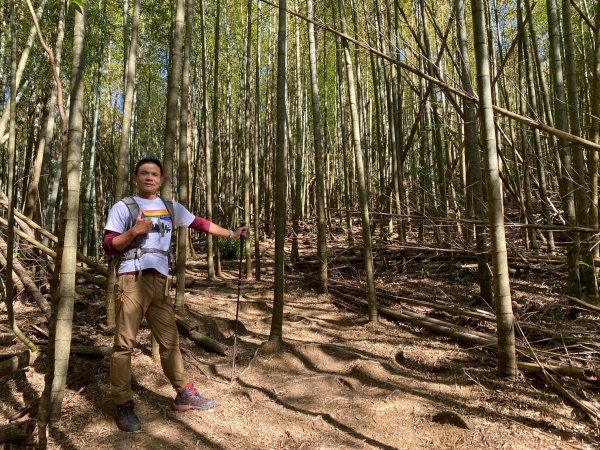 長壽山-醜崠山-鳶嘴山【既優雅又狂野的另類選擇】2673991