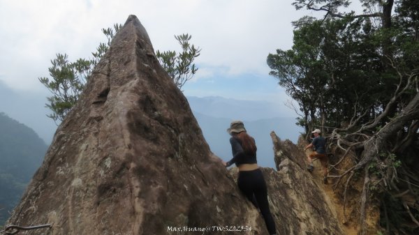 《新竹》斷崖神木｜北得拉曼步道小P繞20251017