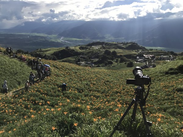 六十石山/赤科山金針花海671211