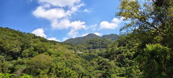 2025/09/13_貴子坑親山步道2884157