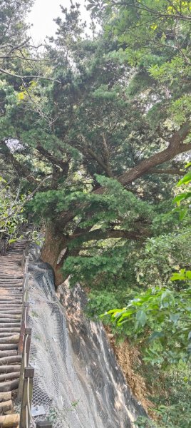 頭嵙山、聚興山3123079