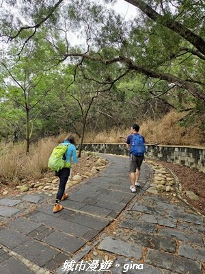 【台中龍井/大肚】竹坑南寮登山步道x瑞井登山步道O繞3031250