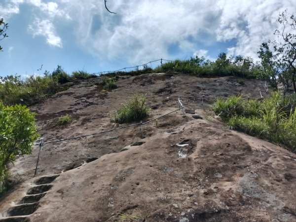 平溪區東勢格越嶺古道+孝子山步道(慈恩嶺+慈母峰)探花(艷紅鹿子百合)路線O型2848672