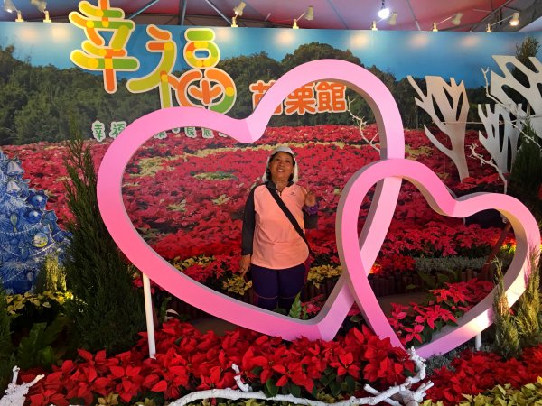 2019新社花海2019/11/12734662