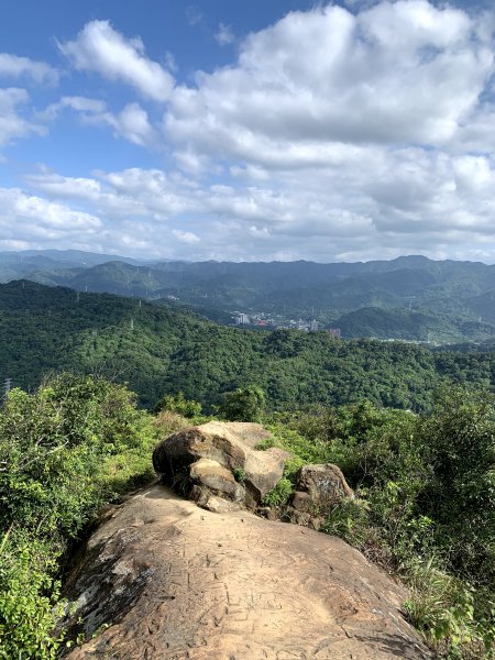 201001-四獸山縱走（虎山、豹山、獅山、象山）1372861