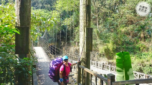 阿里山山脈越嶺步道大串走D3543731