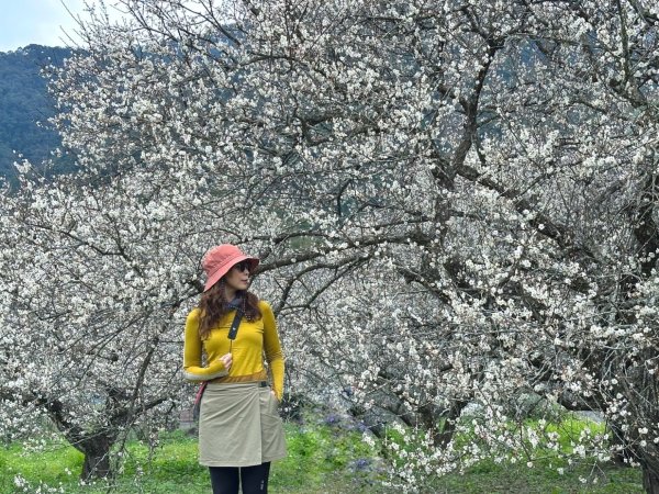 北港溪大峽谷 惠蓀林場2693043