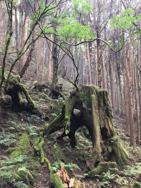 特富野-兒玉山-東水山1076030