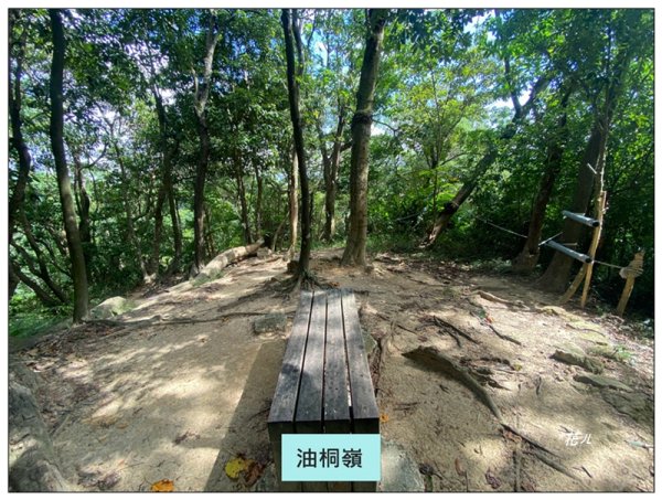 金龍湖、鷹石尖、老鷲尖、內溝山 O型一圈2966646