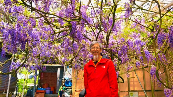 追花是簡單的快樂，賞花是恬淡的幸褔 4/32751448