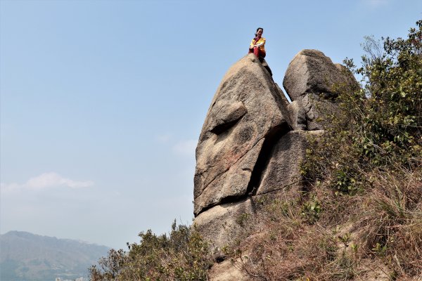 HK - 九徑山1499587