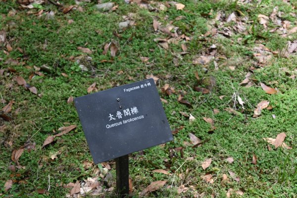 2025_0712 福山植物園2836312