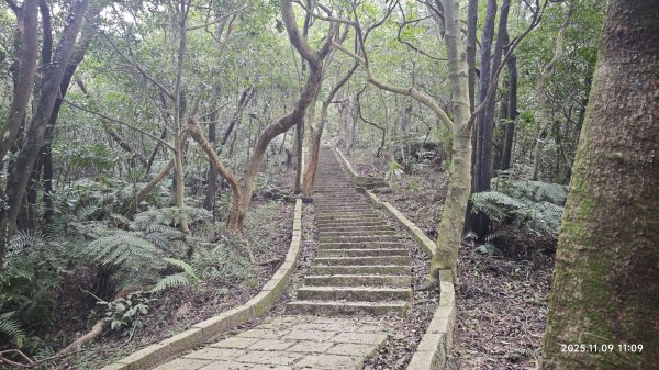20251109 士林站到大湖站(福山宮_腰繞_燕溪古道_翠山步道_龍船岩_大溝溪)2932347