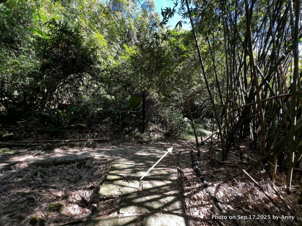 微笑山線【五分山系】菁桐煤礦段＋平溪小黃山段2906697