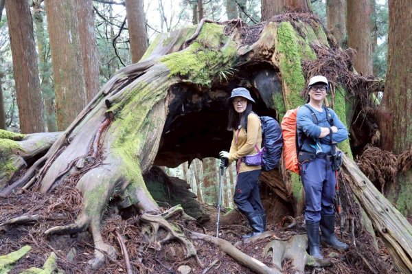 神阿縱走~台灣難抵極~大塔山2971929