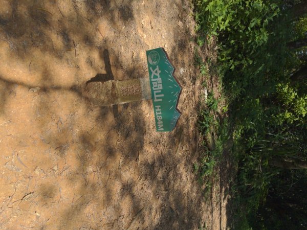 台北大縱走第五段1756533