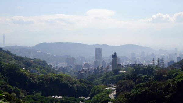 十八份拐圳步道2028064