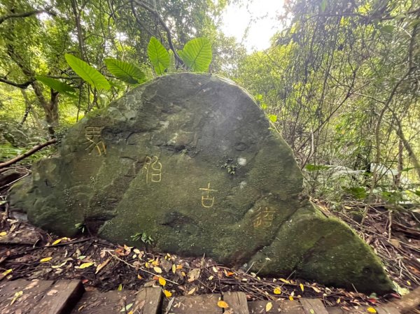 2022森遊竹縣 皮皮獅同樂會 - 馬胎古道 07091806777