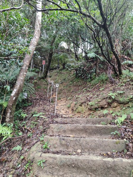 微笑山線：【二格山系】皇帝殿稜線段2955970